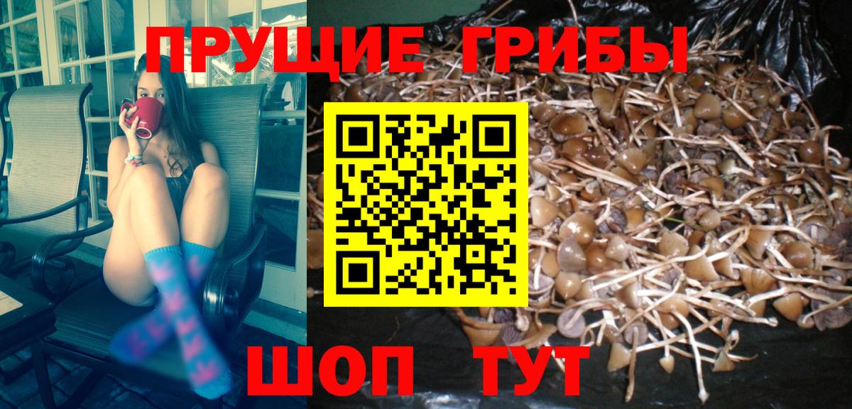 Маркс  Галлюциногенные грибы мухоморы  Вход с VPN 