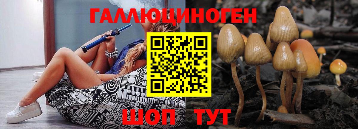 Галлюциногенные грибы Psilocybine cubensis Маркс